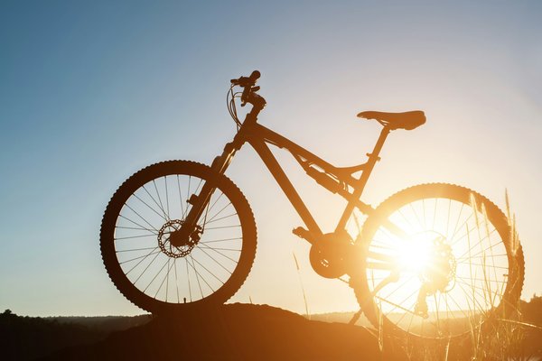 Découvrez les meilleures offres de vtt électrique d'occasion chez loewi